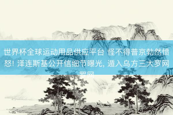世界杯全球運動用品供應(yīng)平臺 怪不得普京勃然憤怒! 澤連斯基公開信細節(jié)曝光， 遁入烏方三大羅網(wǎng)